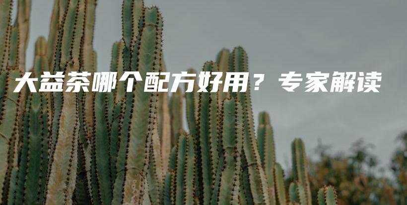 大益茶哪個配方好用？專家解讀插圖