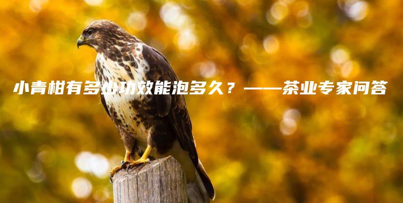 小青柑有多少功效能泡多久？——茶業(yè)專家問答插圖
