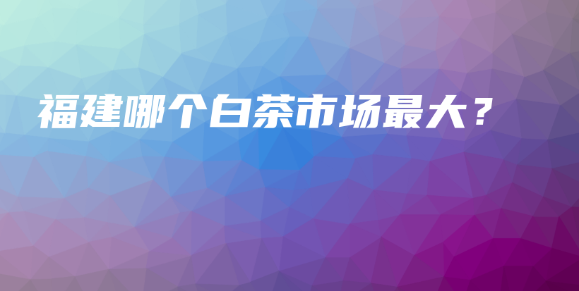 福建哪個(gè)白茶市場(chǎng)最大？插圖