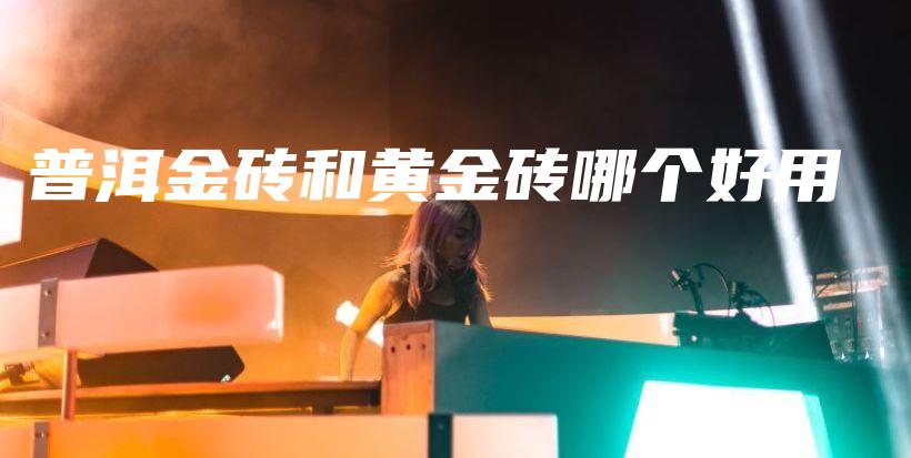 普洱金磚和黃金磚哪個好用插圖