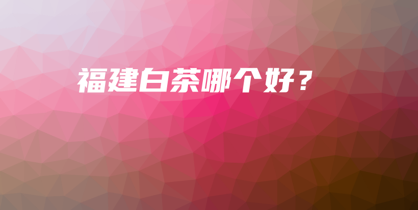 福建白茶哪個好？插圖