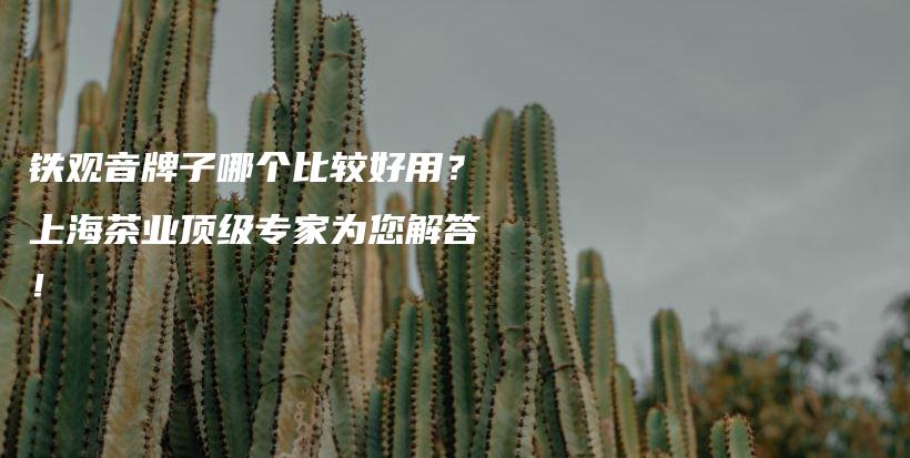 鐵觀音牌子哪個比較好用？上海茶業(yè)頂級專家為您解答！插圖