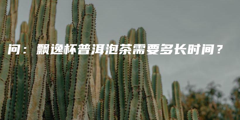 問：飄逸杯普洱泡茶需要多長(zhǎng)時(shí)間？插圖