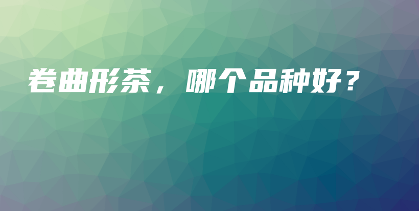 卷曲形茶，哪個(gè)品種好？插圖