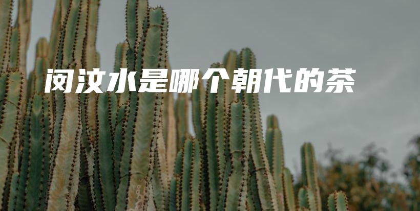 閔汶水是哪個朝代的茶插圖