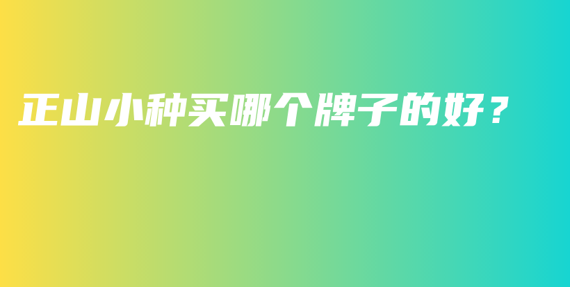 正山小種買哪個(gè)牌子的好？插圖