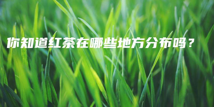 你知道紅茶在哪些地方分布嗎？插圖