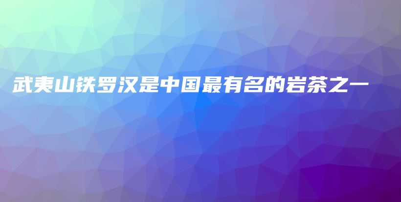 武夷山鐵羅漢是中國最有名的巖茶之一插圖