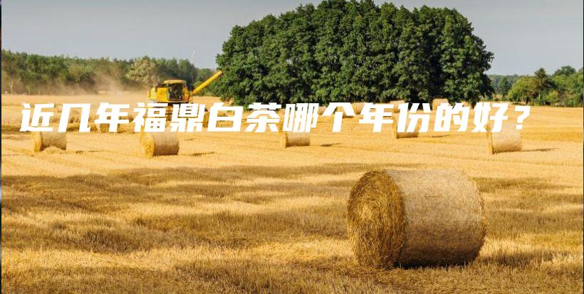 近幾年福鼎白茶哪個(gè)年份的好？插圖