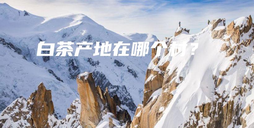 白茶產(chǎn)地在哪個(gè)村？插圖
