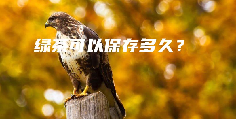 綠茶可以保存多久？插圖