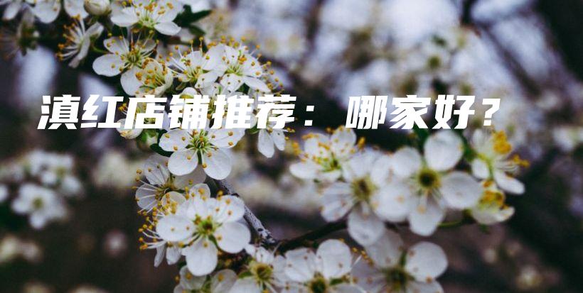 滇紅店鋪推薦：哪家好？插圖