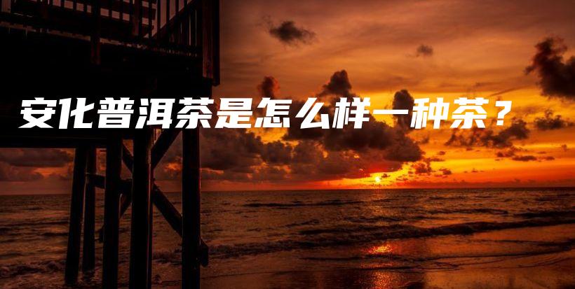 安化普洱茶是怎么樣一種茶？插圖