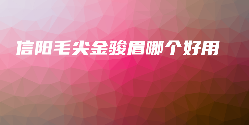 信陽毛尖金駿眉哪個(gè)好用插圖