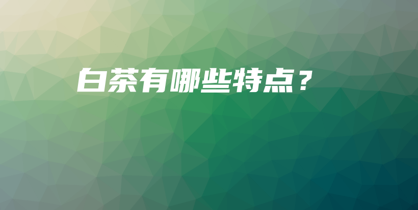 白茶有哪些特點(diǎn)？插圖