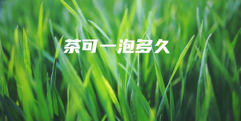 茶可一泡多久插圖