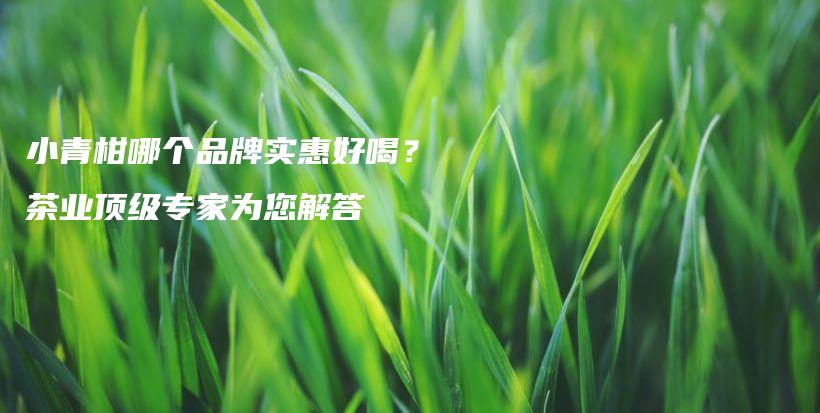 小青柑哪個(gè)品牌實(shí)惠好喝？茶業(yè)頂級(jí)專(zhuān)家為您解答插圖