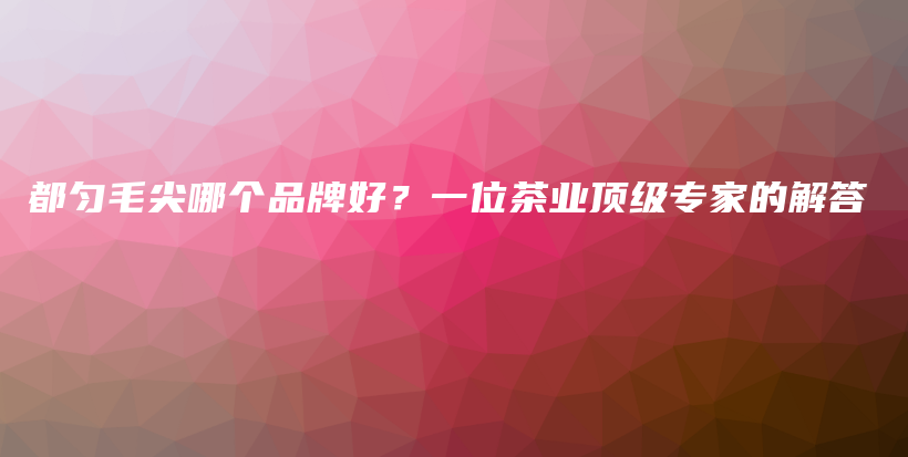 都勻毛尖哪個(gè)品牌好？一位茶業(yè)頂級(jí)專(zhuān)家的解答插圖