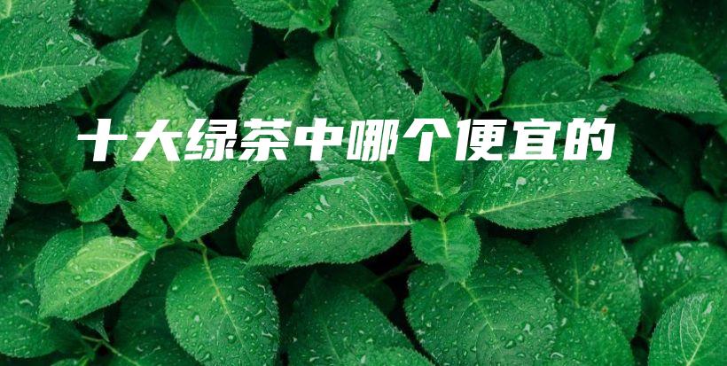 十大綠茶中哪個便宜的插圖