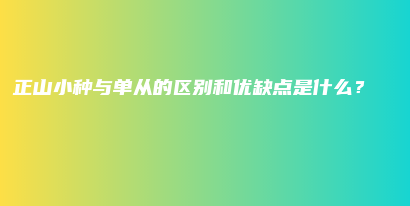 正山小種與單從的區(qū)別和優(yōu)缺點是什么？插圖