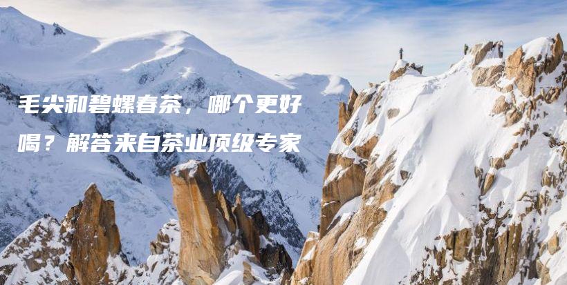 毛尖和碧螺春茶，哪個更好喝？解答來自茶業(yè)頂級專家插圖