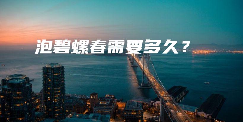 泡碧螺春需要多久？插圖
