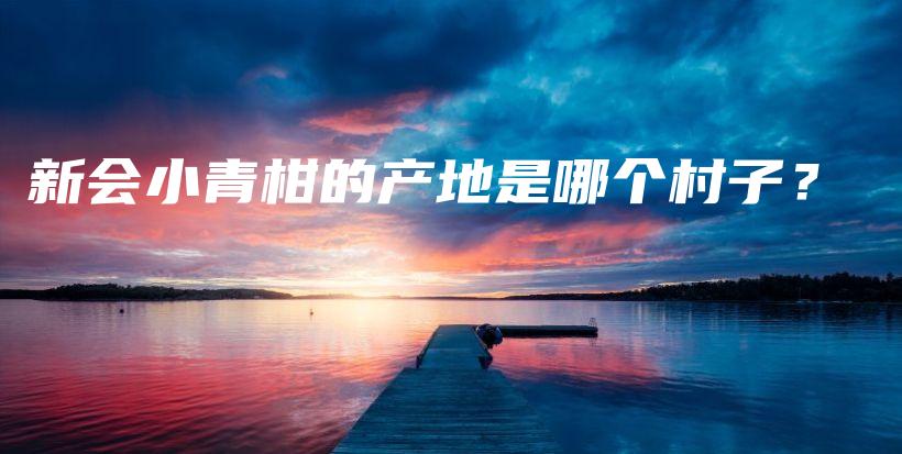 新會小青柑的產(chǎn)地是哪個村子？插圖