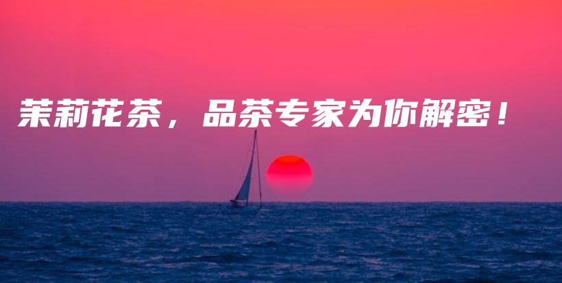 茉莉花茶，品茶專家為你解密！插圖