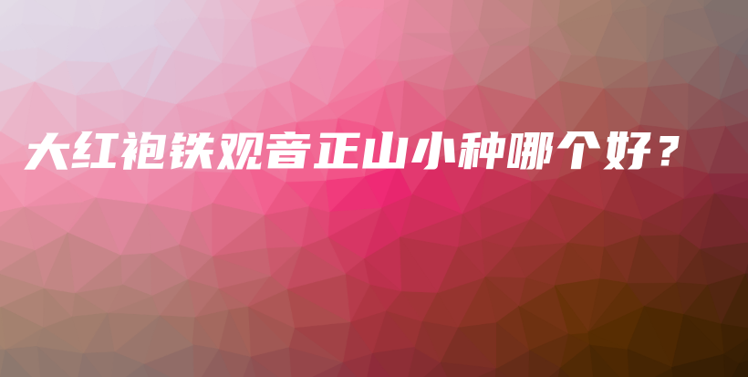 大紅袍鐵觀音正山小種哪個好？插圖