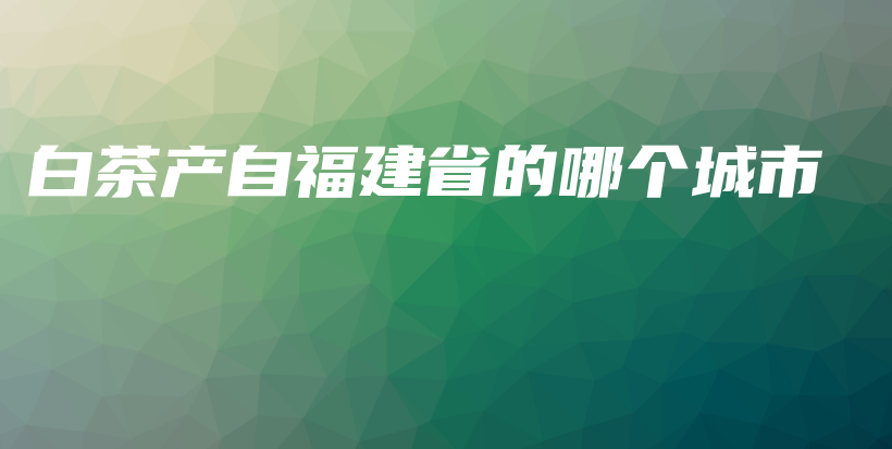 白茶產(chǎn)自福建省的哪個(gè)城市插圖