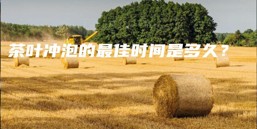 茶葉沖泡的最佳時(shí)間是多久？插圖
