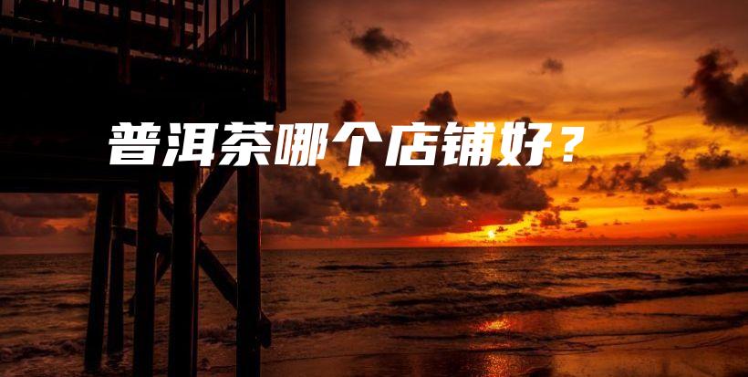 普洱茶哪個(gè)店鋪好？插圖