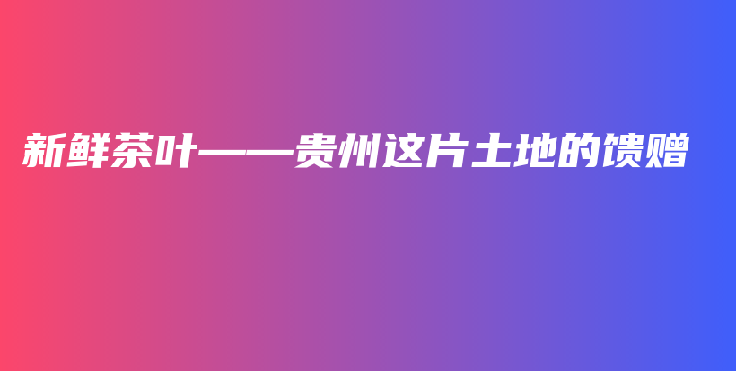 新鮮茶葉——貴州這片土地的饋贈(zèng)插圖