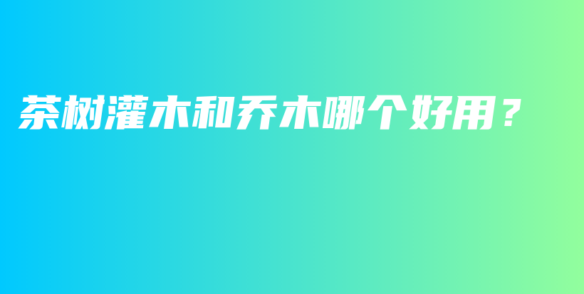 茶樹灌木和喬木哪個好用？插圖