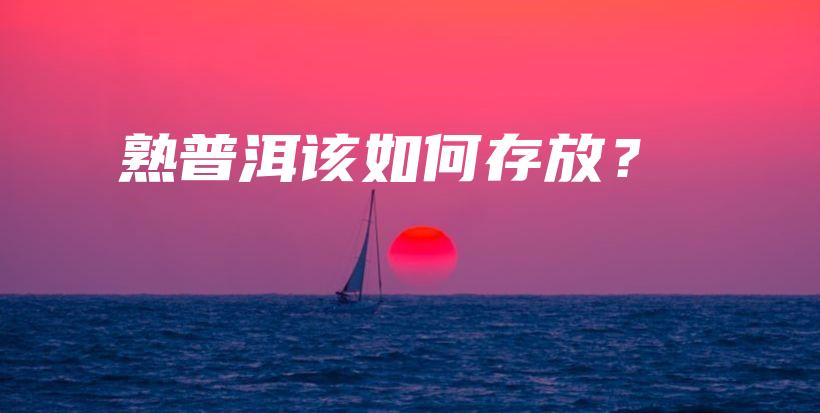 熟普洱該如何存放？插圖