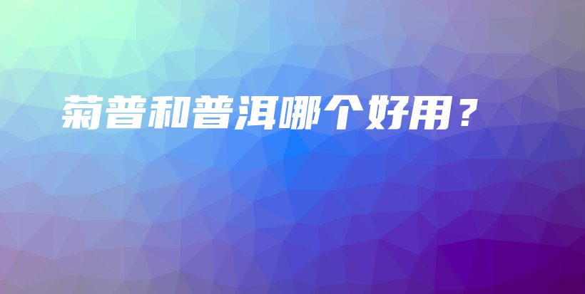 菊普和普洱哪個好用？插圖
