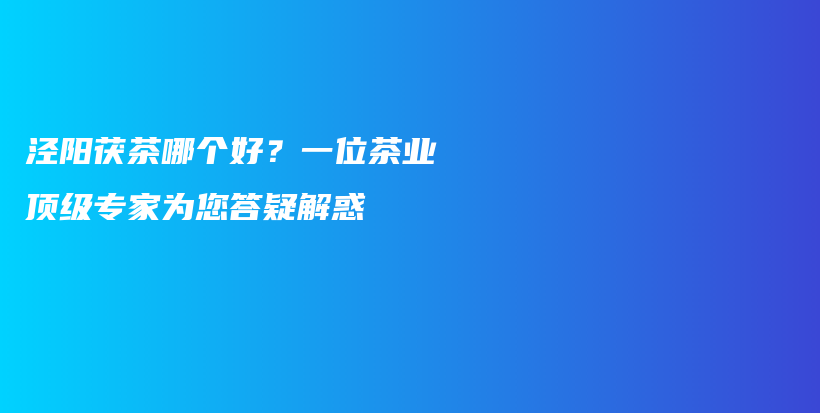 涇陽(yáng)茯茶哪個(gè)好？一位茶業(yè)頂級(jí)專(zhuān)家為您答疑解惑插圖