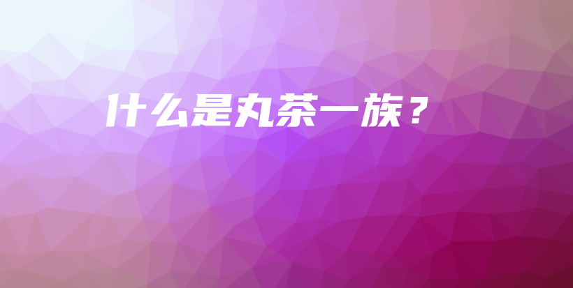 什么是丸茶一族？插圖