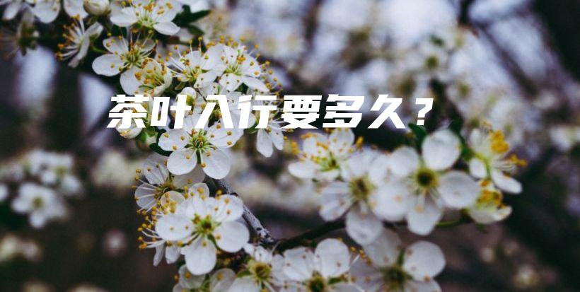 茶葉入行要多久？插圖