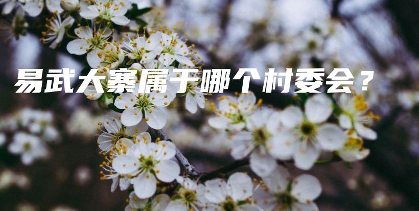 易武大寨屬于哪個(gè)村委會(huì)？插圖