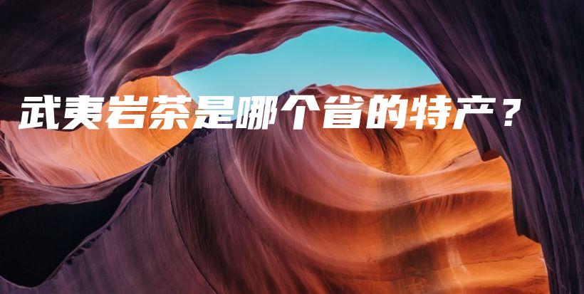 武夷巖茶是哪個(gè)省的特產(chǎn)？插圖