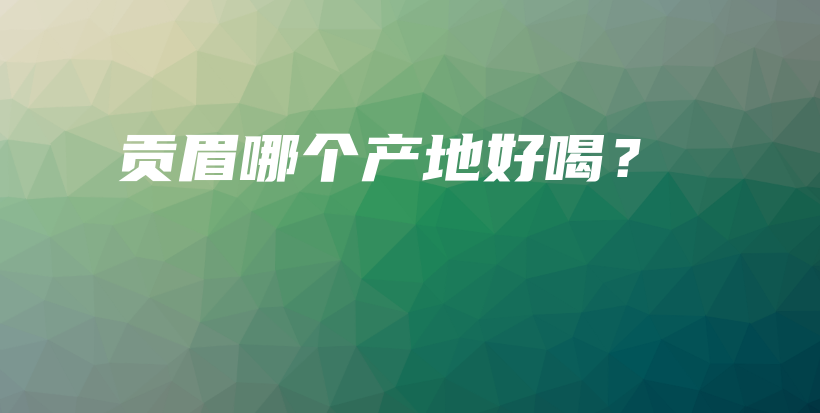 貢眉哪個產(chǎn)地好喝？插圖