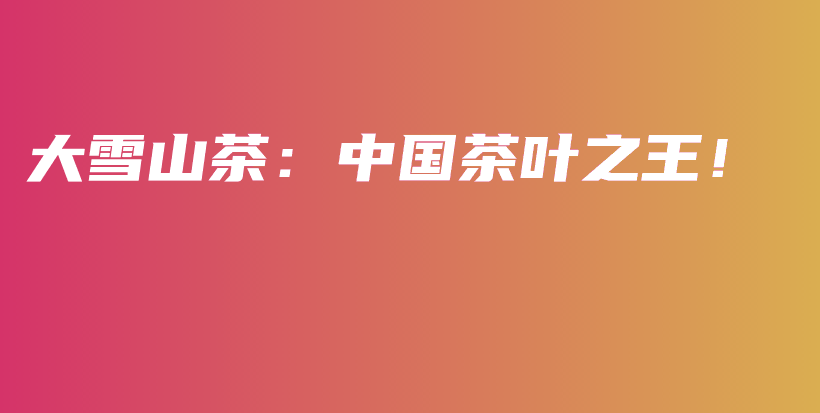 大雪山茶：中國茶葉之王！插圖