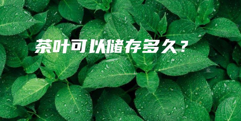 茶葉可以儲存多久？插圖