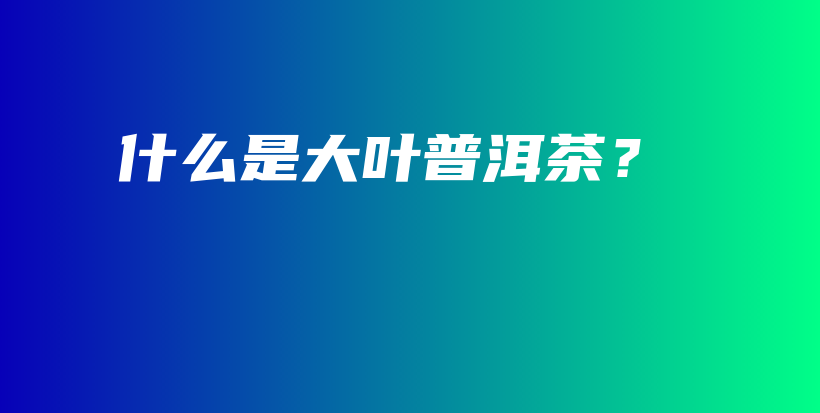 什么是大葉普洱茶？插圖