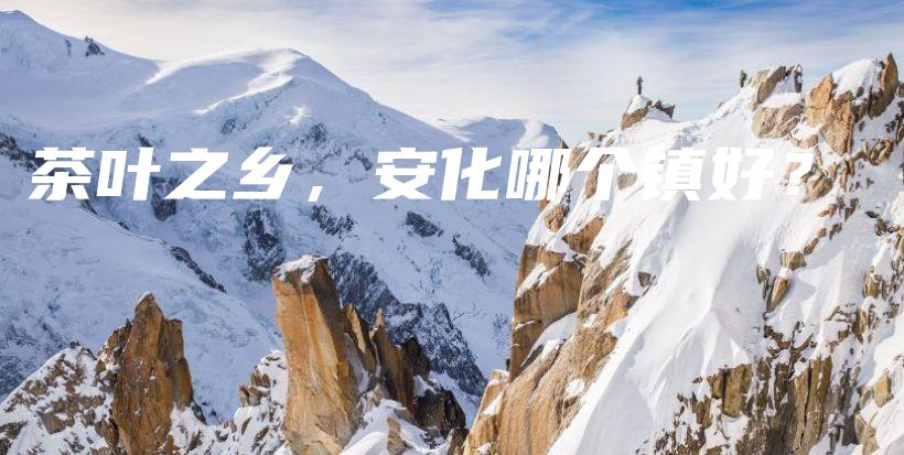茶葉之鄉(xiāng)，安化哪個(gè)鎮(zhèn)好？插圖