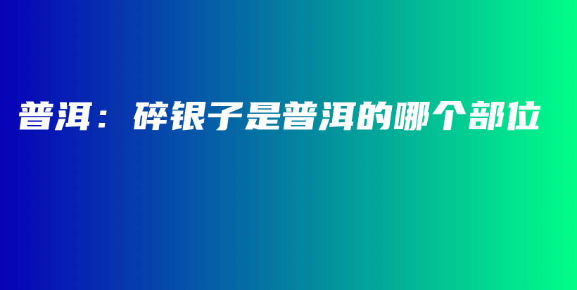 普洱：碎銀子是普洱的哪個部位插圖
