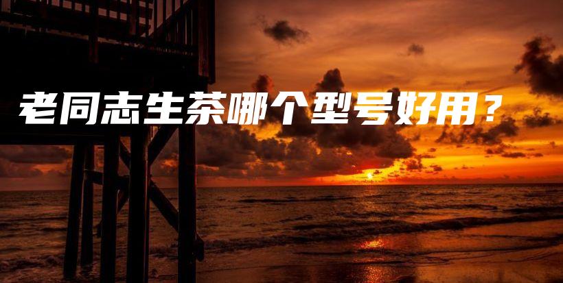 老同志生茶哪個(gè)型號(hào)好用？插圖