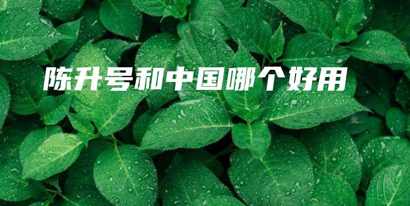 陳升號(hào)和中國(guó)哪個(gè)好用插圖
