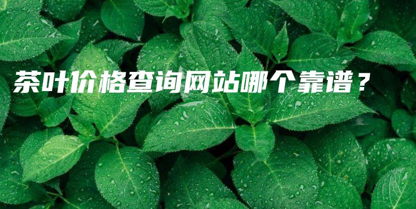茶葉價格查詢網站哪個靠譜？插圖